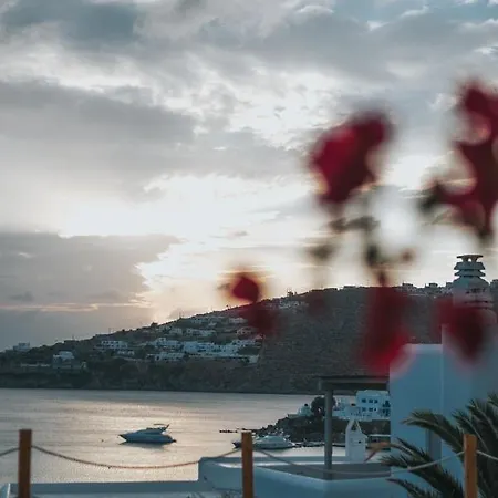 Mymykonos I Platis Yialos